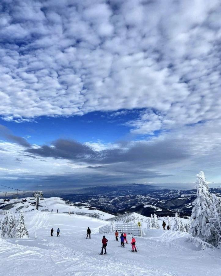 K19 Milmari Resort & Spa Kopaonik Extérieur photo